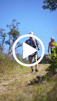 BIB:  <button type="button" onclick="openModal(26596573)" class="btn btn-primary btn-sm float-right" data-toggle="modal" data-target=".modal-high-quality">
                <i class="fa fa-download"></i> Download
                </button>